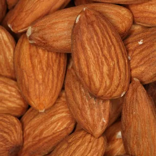 تصویر 2 از خرید جدید ترین انواع بادام درختی گرمسیری